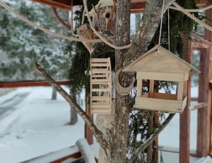 Услуги и развлечения - Санаторий «Крутушка» Казань